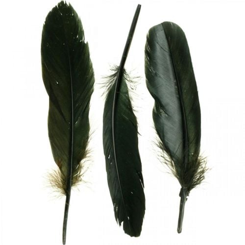 Artikel Deko Federn Schwarz Vogelfedern zum Basteln 14-17cm 20g