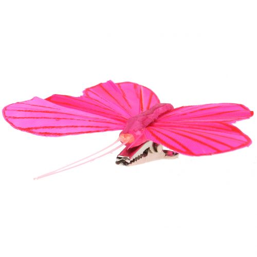 Floristik24 Federschmetterling am Clip bunt 6cm 12St