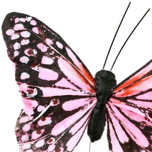 echter wunderschöner Schmetterling in 3D hinter Glas 17x17 Common Rose 