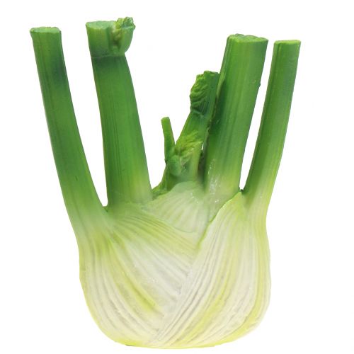 Floristik24 Fenchel 15cm