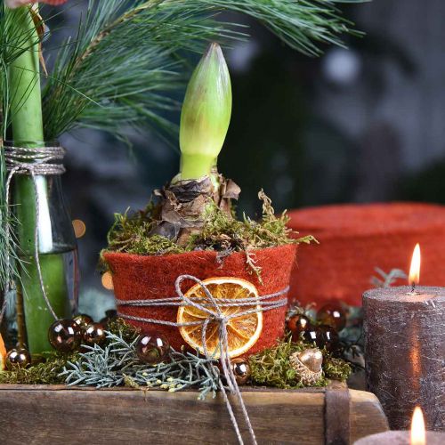 Floristik24 Filzband, Topfband, Wollfilz Rot, Golden Schimmernd 15cm 5m