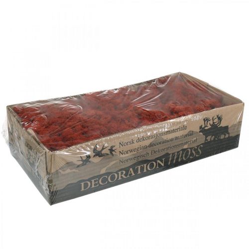 Artikel Deko Moos Rot Siena Naturmoos zum Basteln Getrocknet, gefärbt 500g