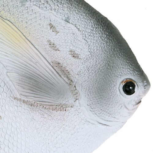 Artikel Deko Fisch L21cm