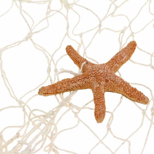 Artikel Fischernetz mit Meeresdeko Natur Polyresin 150×200cm als Wanddeko