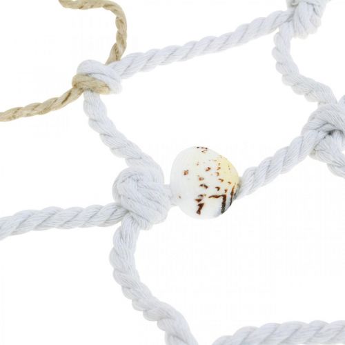 Floristik24 Fischernetz mit Muscheln und Treibholz, Maritim, Deko-Netz, Meeresdeko 72×120cm