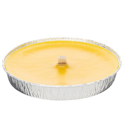 Floristik24 Citronella Duftkerze gegen Insekten Flammschale perfekt für Balkon Terrassen und Picknicks 16cm