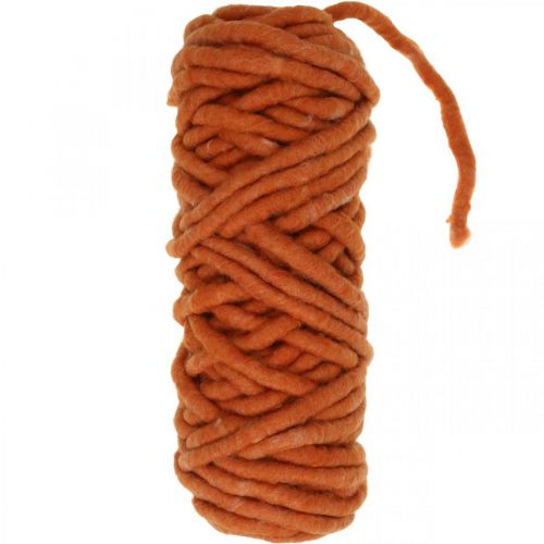 Floristik24 Filzkordel Wollkordel Filzschnur Schafwolle Jute Orange L30m