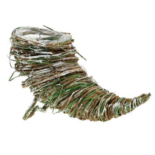 Pflanz-Füllhorn Weide H20cm