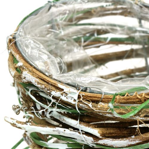 Floristik24 Pflanz-Füllhorn Weide H20cm