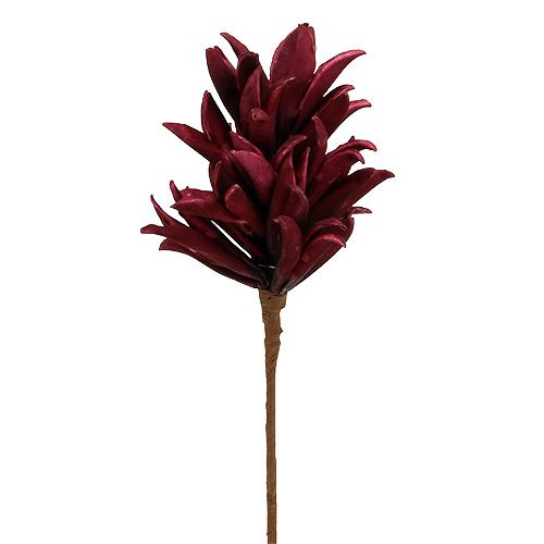 Foam Blüte Bordeaux 14cm L66cm