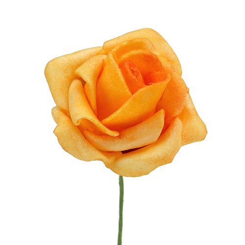 Floristik24 Foam Rose Ø4,5cm apricot 36St