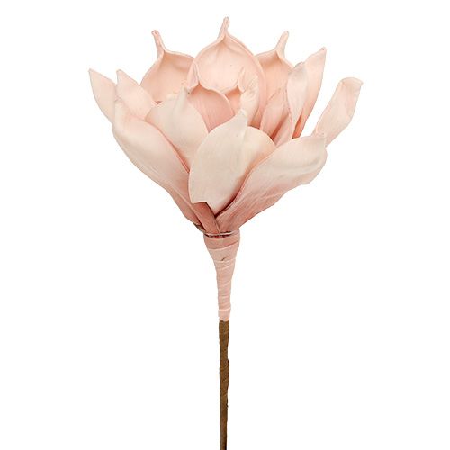 Floristik24 Foamblüte Magnolia Rosa Ø15cm L65cm
