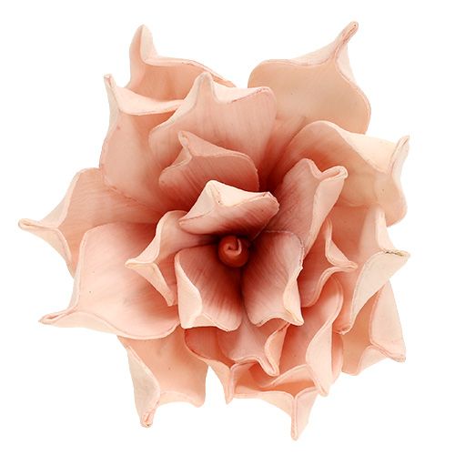 Floristik24 Foamblüte Magnolia Rosa Ø15cm L65cm