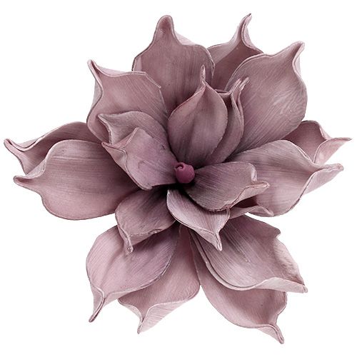 Floristik24 Foamblüte Magnolia Berry Ø15cm L67cm