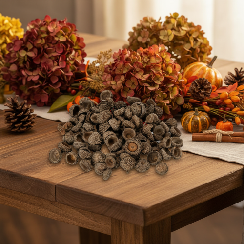 Eichelkappen natur Dekoschalen Herbst und Advent 2cm 300g | Floristik24.de
