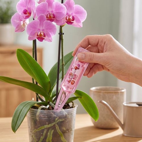 Protect Garden Beauty Kur Orchideen Düngemittel 20ml | Floristik24.de