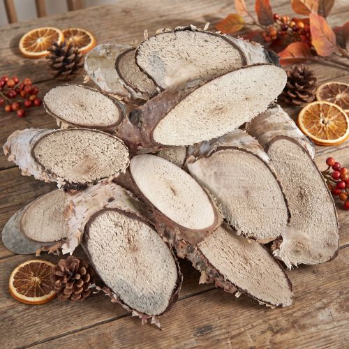 Holzscheiben Birke oval Birkenscheiben 4-9cm 450g | Floristik24.de