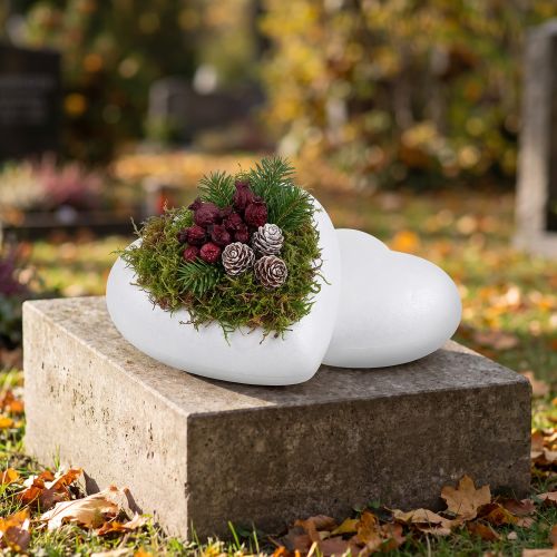 Styroporherz gewölbt mittel 11cm 2St | Floristik24.de