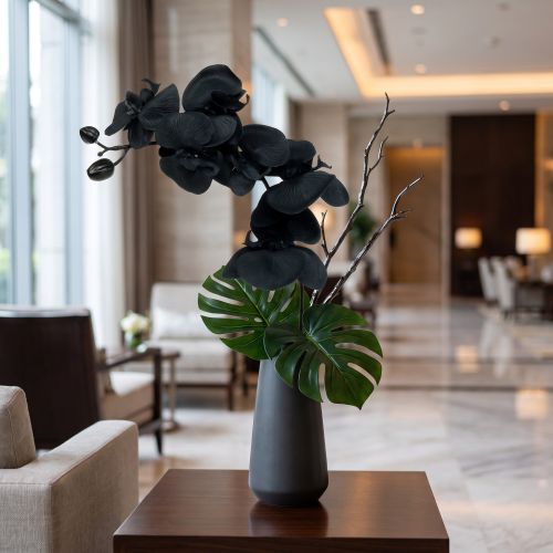 Orchidee zum Dekorieren Schwarz 54cm | Floristik24.de