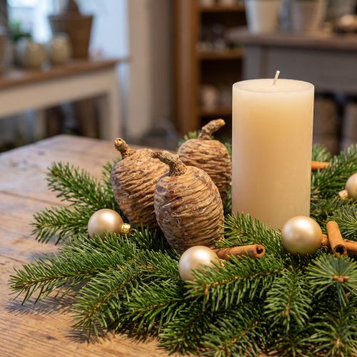 Zedernzapfen Zapfen Deko Zeder Natur 9-10,5cm 3 St | Floristik24.de