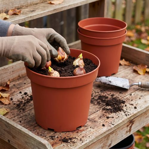 Pflanztopf Plastik Ø29cm 10St | Floristik24.de