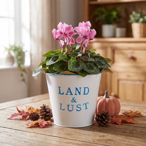 Blumentopf klein Weiß, Blau Metalldeko Übertopf Ø14×H13cm | Floristik24.de
