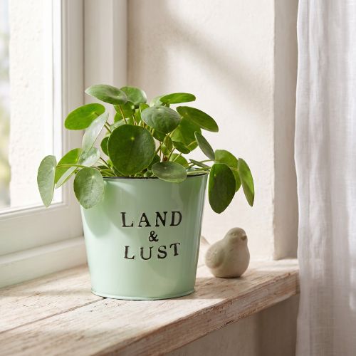 Blumentopf Mint Metall Übertopf Landhaus Ø17cm H15,5cm | Floristik24.de
