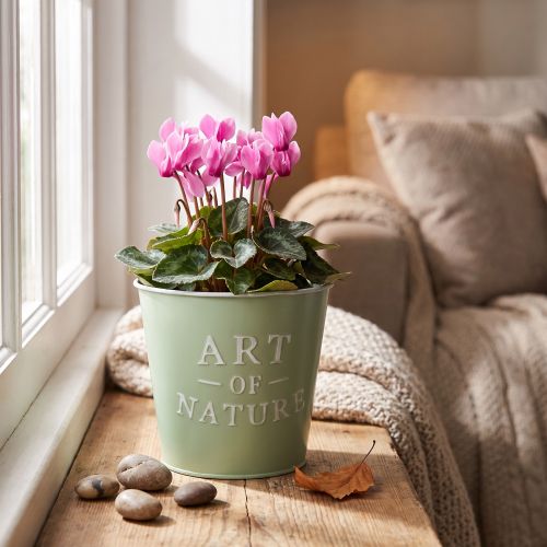 Artikel Blumentopf Zink Mintgrün Ø15cm H13,5cm