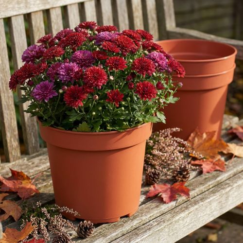 Pflanztopf Plastik Ø23cm 10St | Floristik24.de