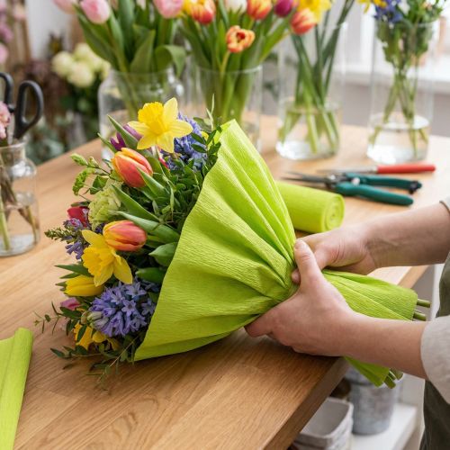 Floristen-Krepppapier Maigrün