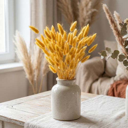 Lagurus Gelb, Samtgras, Hasenschwanz-Gras L20-50cm 25g | Floristik24.de