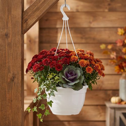 Blumenampel Ø30cm Weiß Kunststoff für Balkon & Terrasse