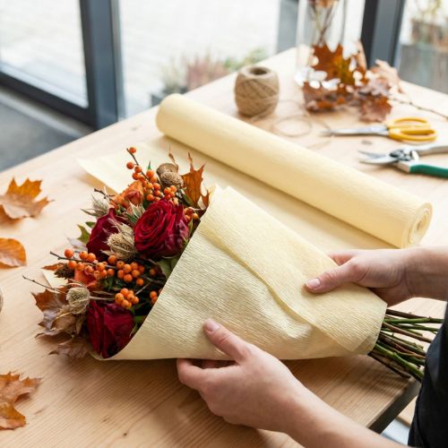 Floristen-Krepppapier Champagner 50x250cm | Floristik24.de