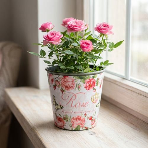 Pflanzgefäß, Eimer zum Bepflanzen, Übertopf mit Rose H13cm Ø13,5cm | Floristik24.de