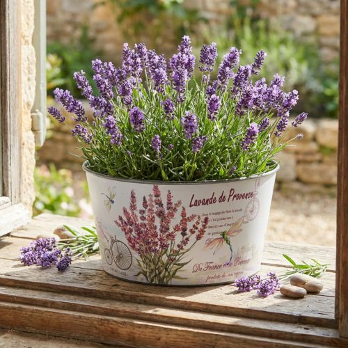 Übertopf Lavendel Kunststoff Blumenschale rund Ø21cm H11cm | Floristik24.de