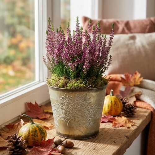 Übertopf für den Herbst, Blecheimer mit Blattdekor, Metallgefäß Golden Ø14cm H12,5cm | Floristik24.de
