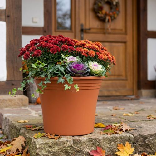 Topf „Irys“ Plastik Terrakotta Ø43cm H35cm 1 St | Floristik24.de