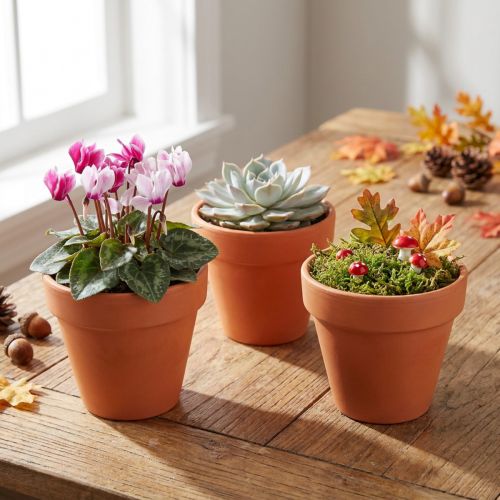 Blumentopf Ton Ø6cm hoch 5cm 10St | Floristik24.de