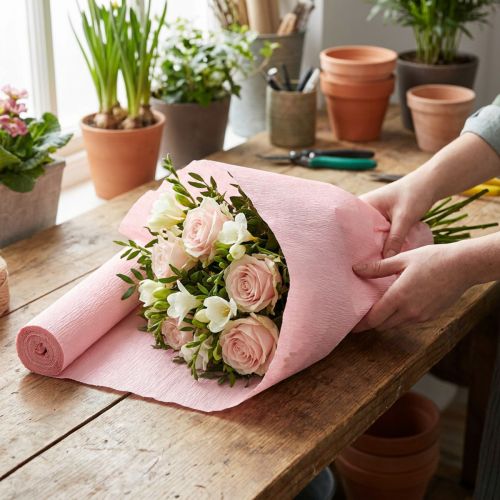 Floristen-Krepppapier Rosa 50x250cm | Floristik24.de