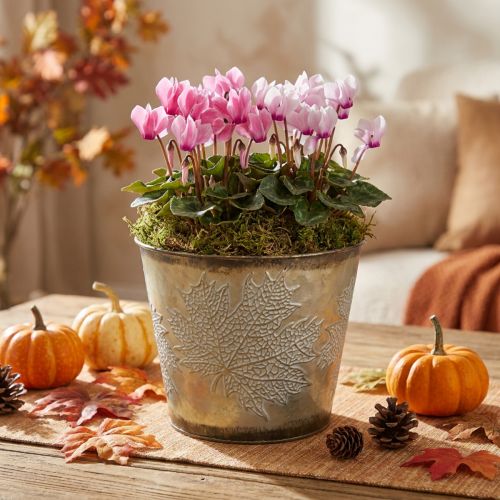 Herbsttopf, Pflanzgefäß mit Blättern, Metalldeko Golden Ø16,5cm H14,5cm | Floristik24.de