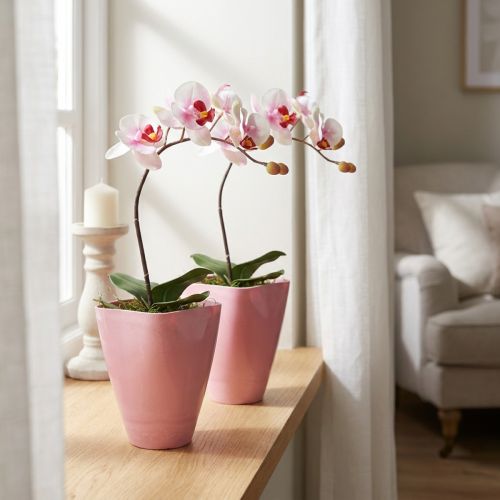 Blumentopf Plastik Pink 16,5cm 2er Set Orchideen
