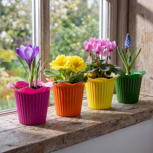 Plastiktopf Blüte Ø9cm 25 St | Floristik24.de