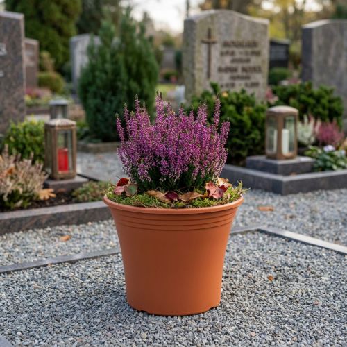 Topf „Irys“ Plastik Terrakotta Ø15cm H13cm 1 St | Floristik24.de