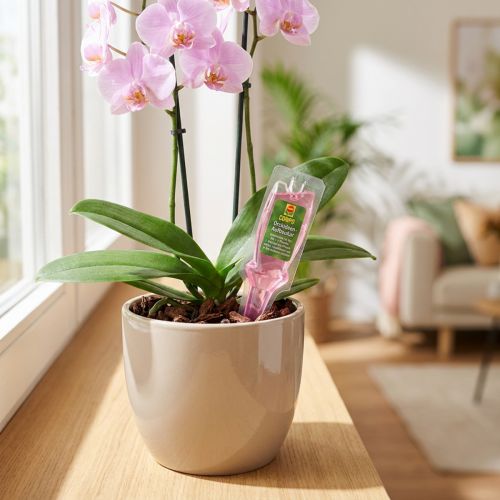 Compo Orchideen-Aufbaukur 30ml | Floristik24.de