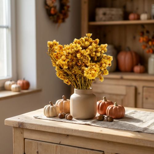 Mini Strohblume Gelb Trockenblumen Bund Trockenstrauß H20cm 15g | Floristik24.de