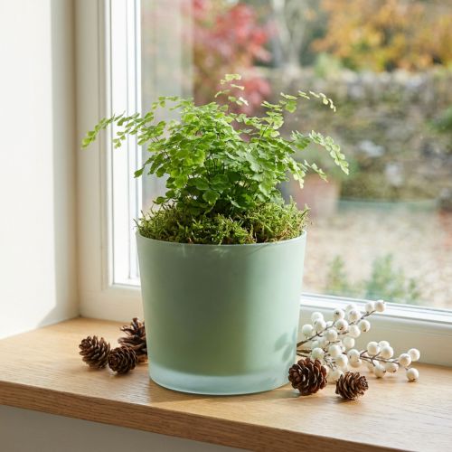 Glas Blumentopf Grün Ø14,5cm H12,5cm Übertopf
