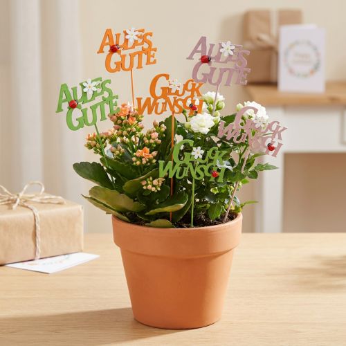 Glückwunsch Blumenstecker Pflanzenstecker Holz 8cm 6 St | Floristik24.de