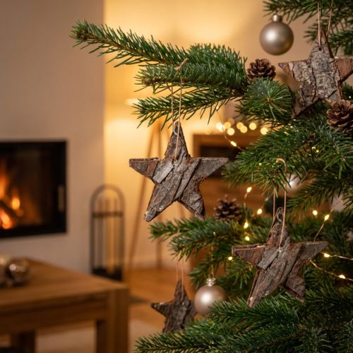 Deko Sterne Pinien Natur Christbaumschmuck Piniensterne 6cm 12 St | Floristik24.de