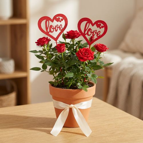 Blumenstecker Herz Rot Holz Dekostecker Love 7cm 12St | Floristik24.de