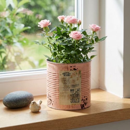 Artikel Blumentopf Deko Dose Lachs Metall Pflanzeimer Ø15,5cm H15cm